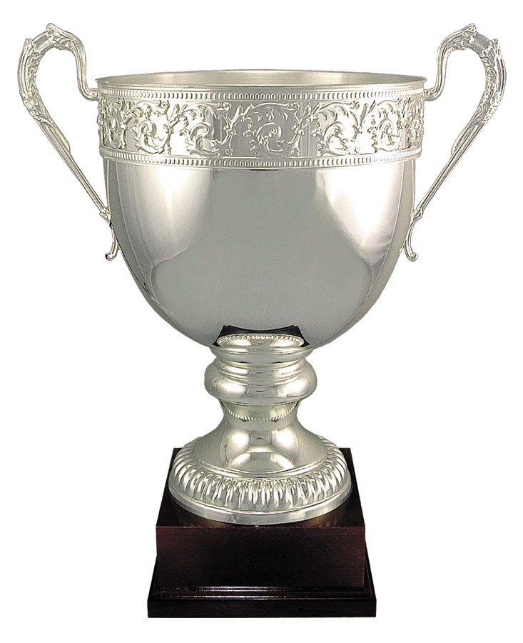 Cup -  CUP231