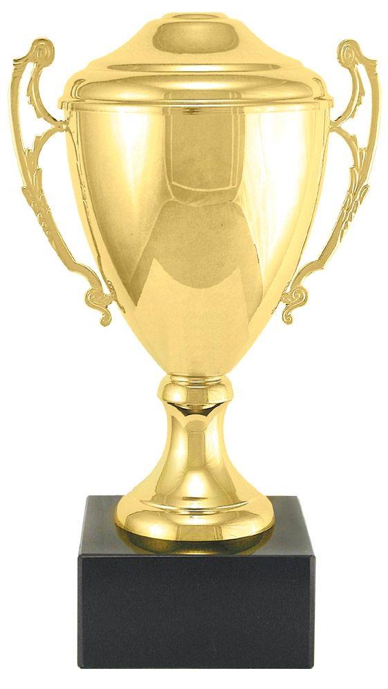 Cup -  CUP246