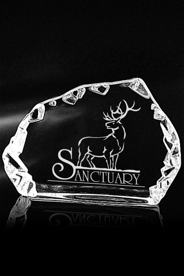 Glass award -  GLA2138