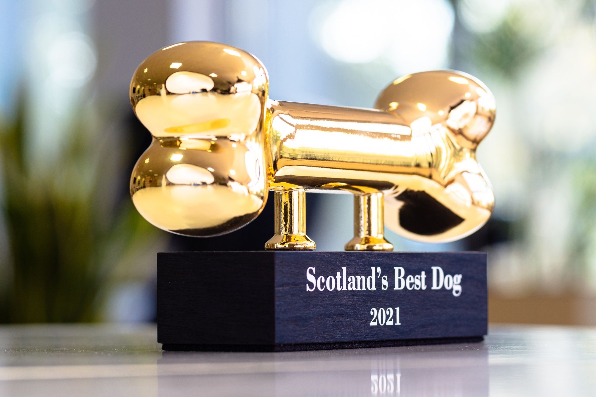 Glasso custom award