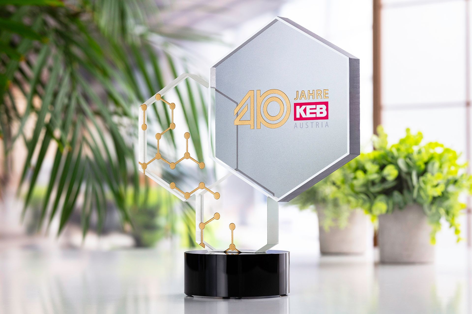Glasso custom award