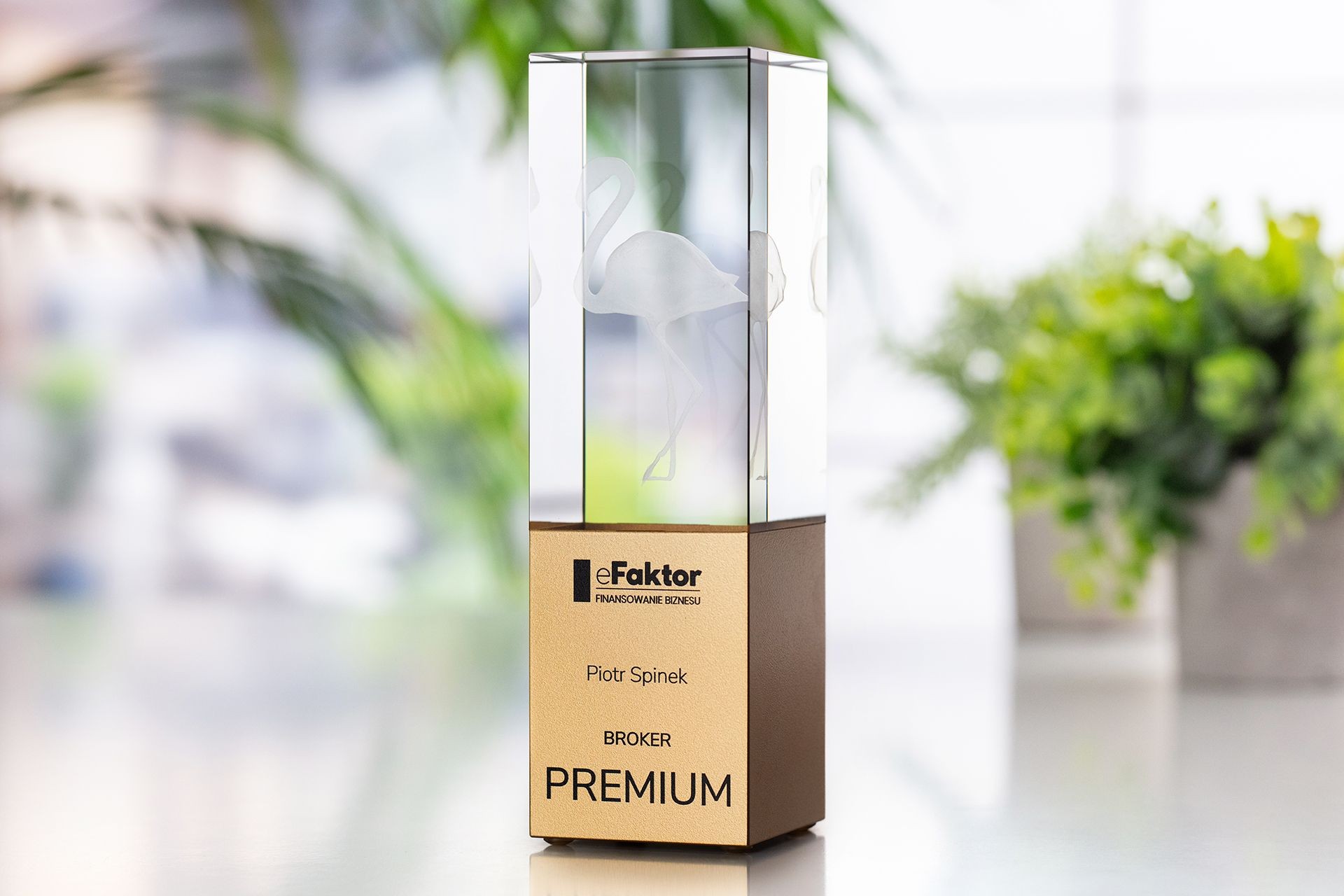 Glasso custom award