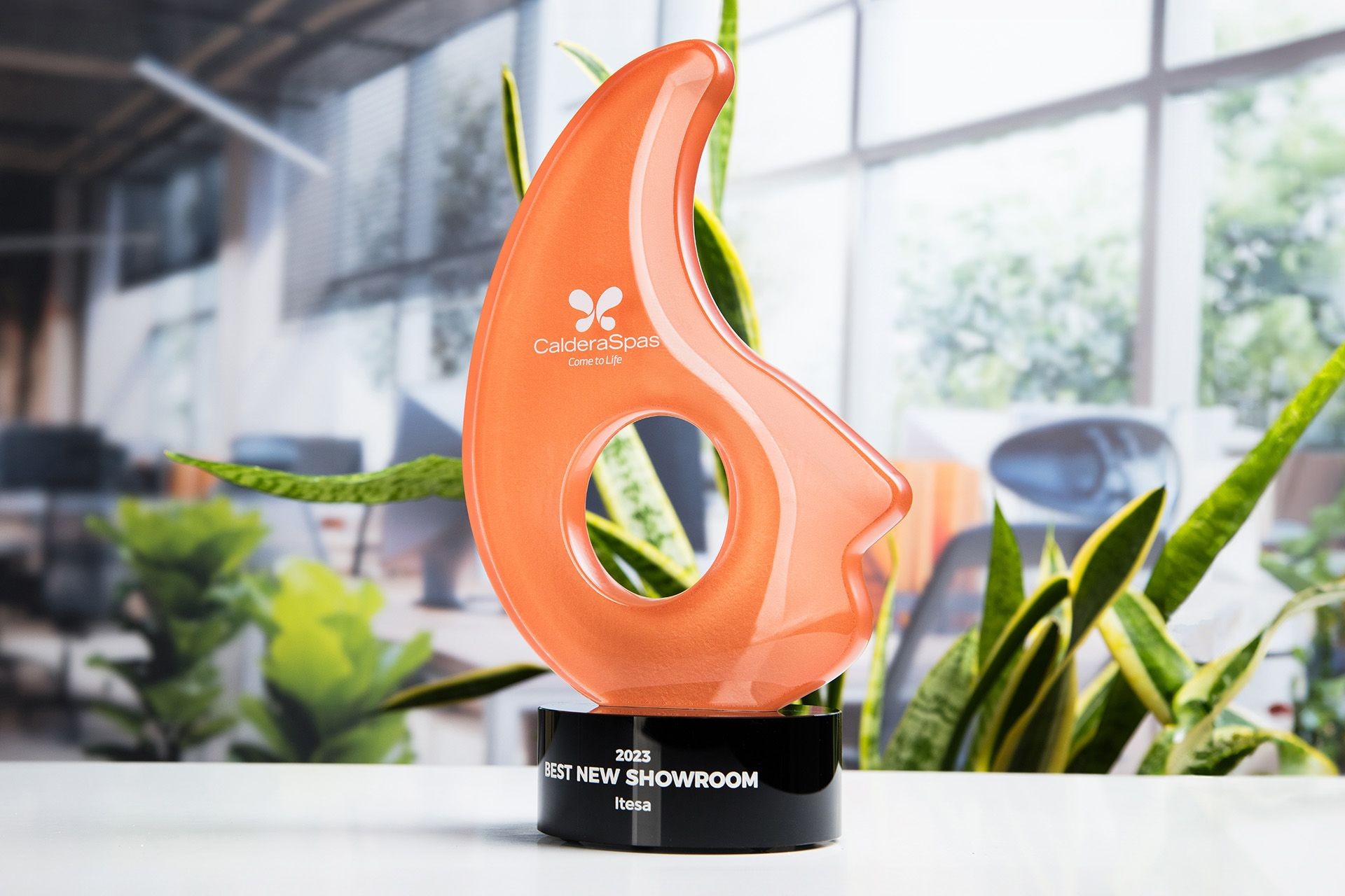 Glasso custom award