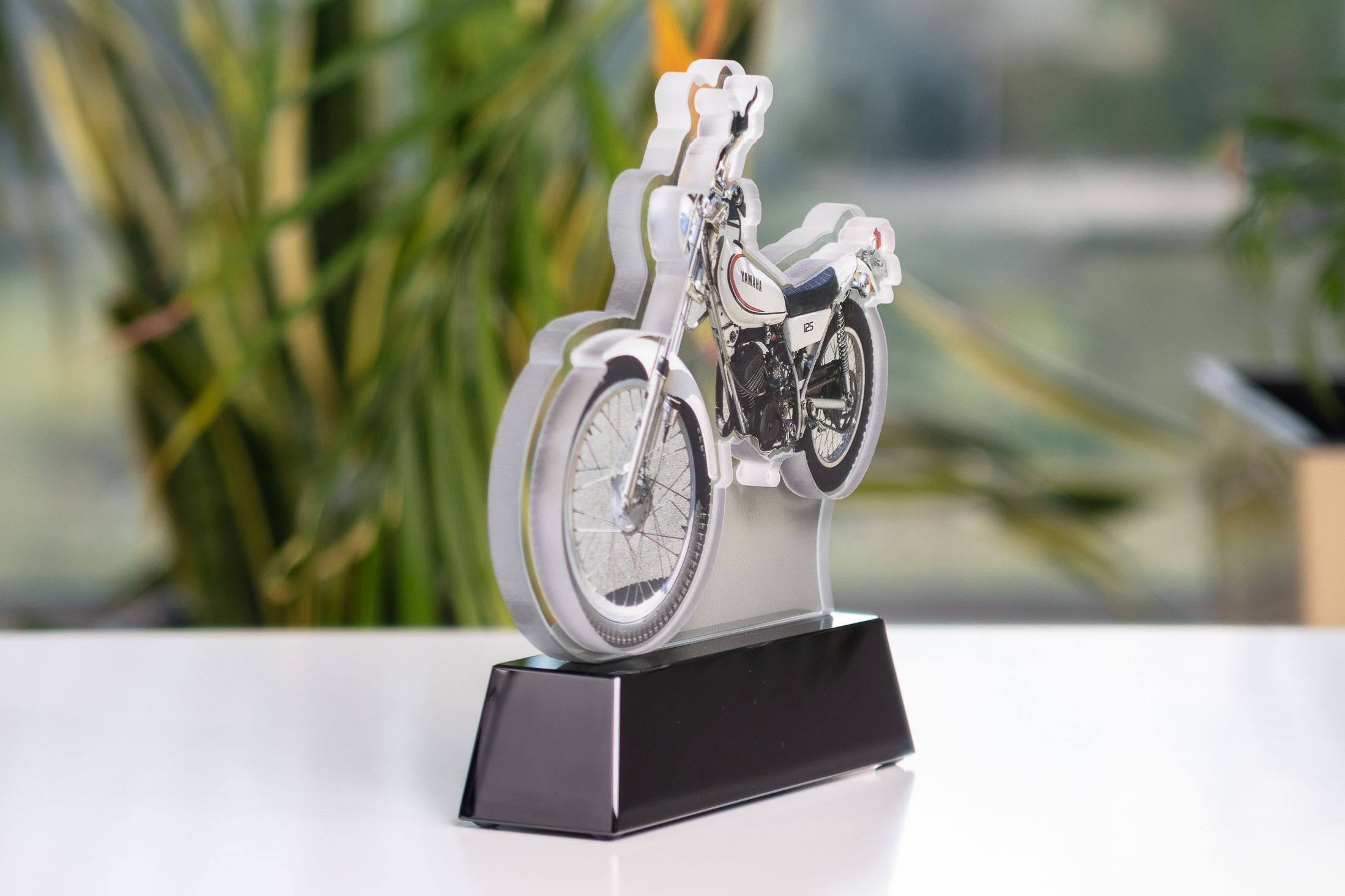 Glasso custom award