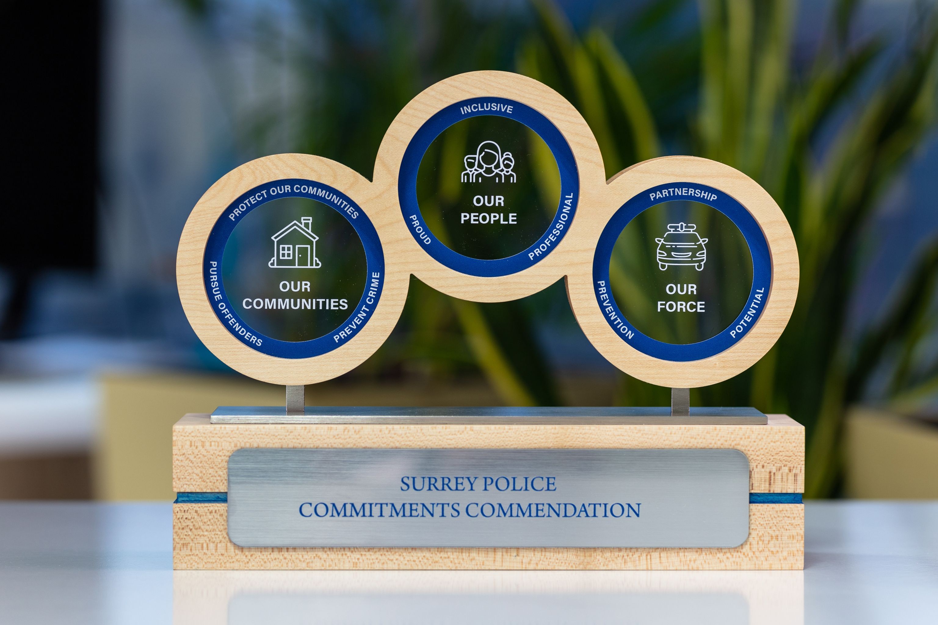 Glasso custom award