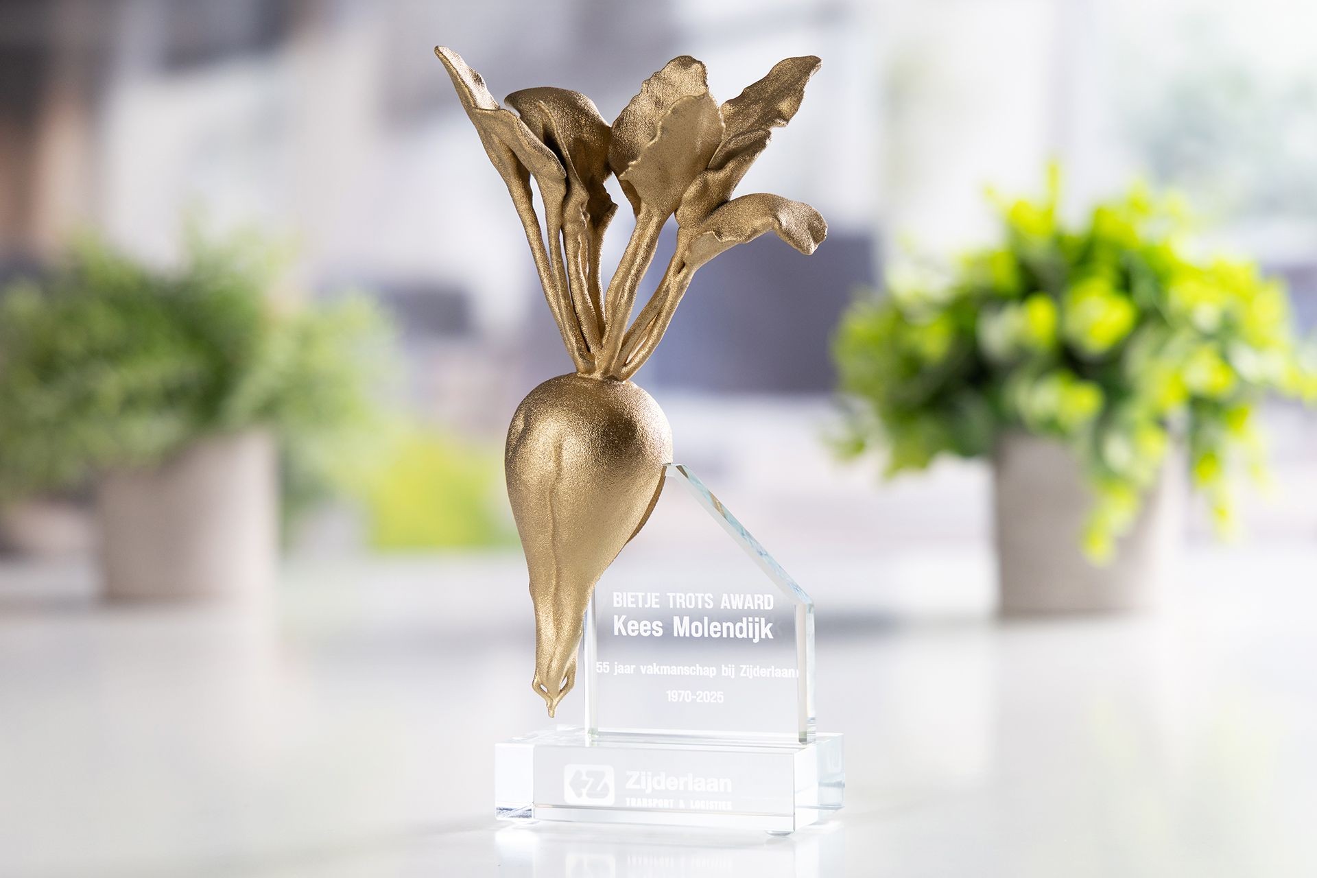 Glasso custom award