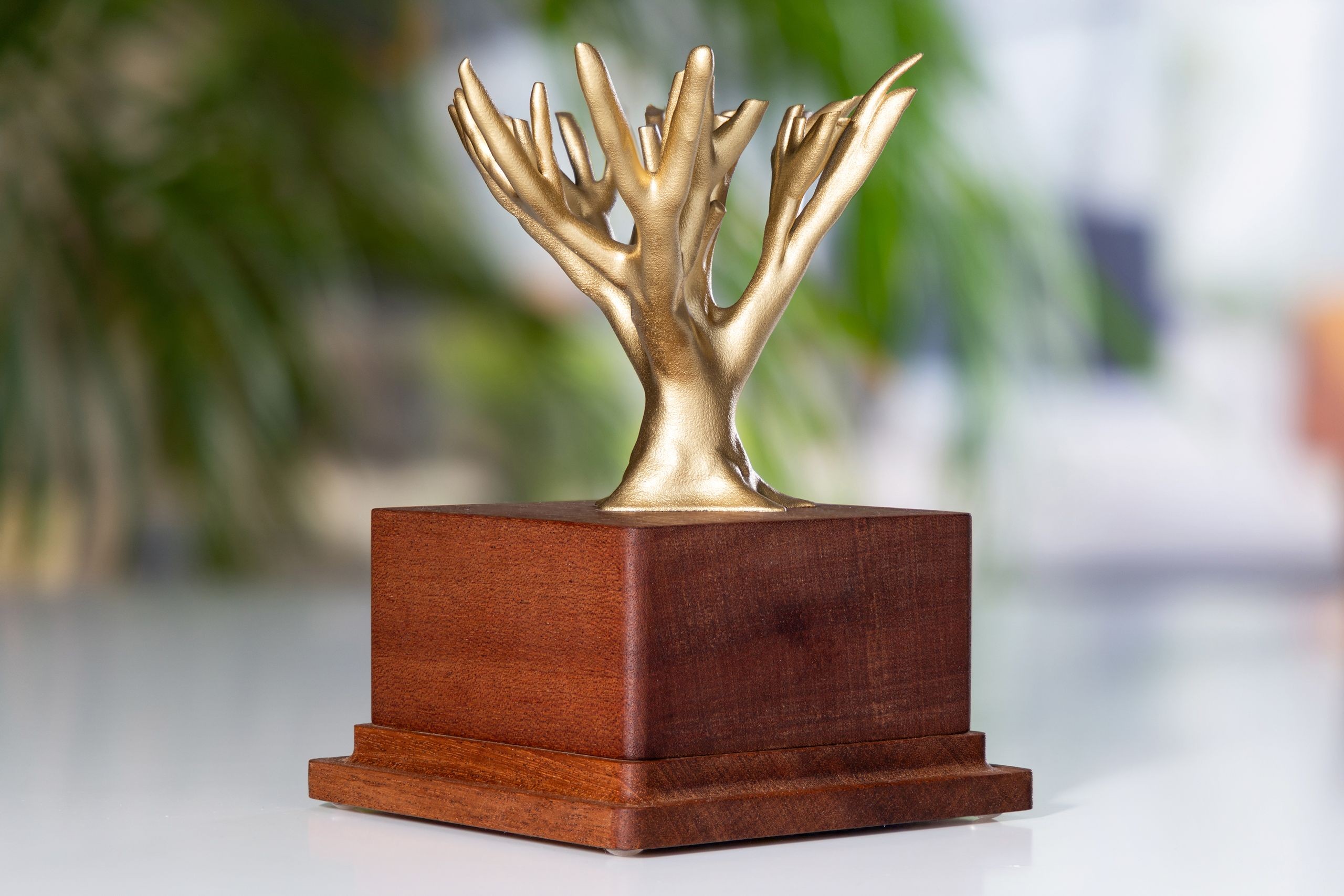 Glasso custom award