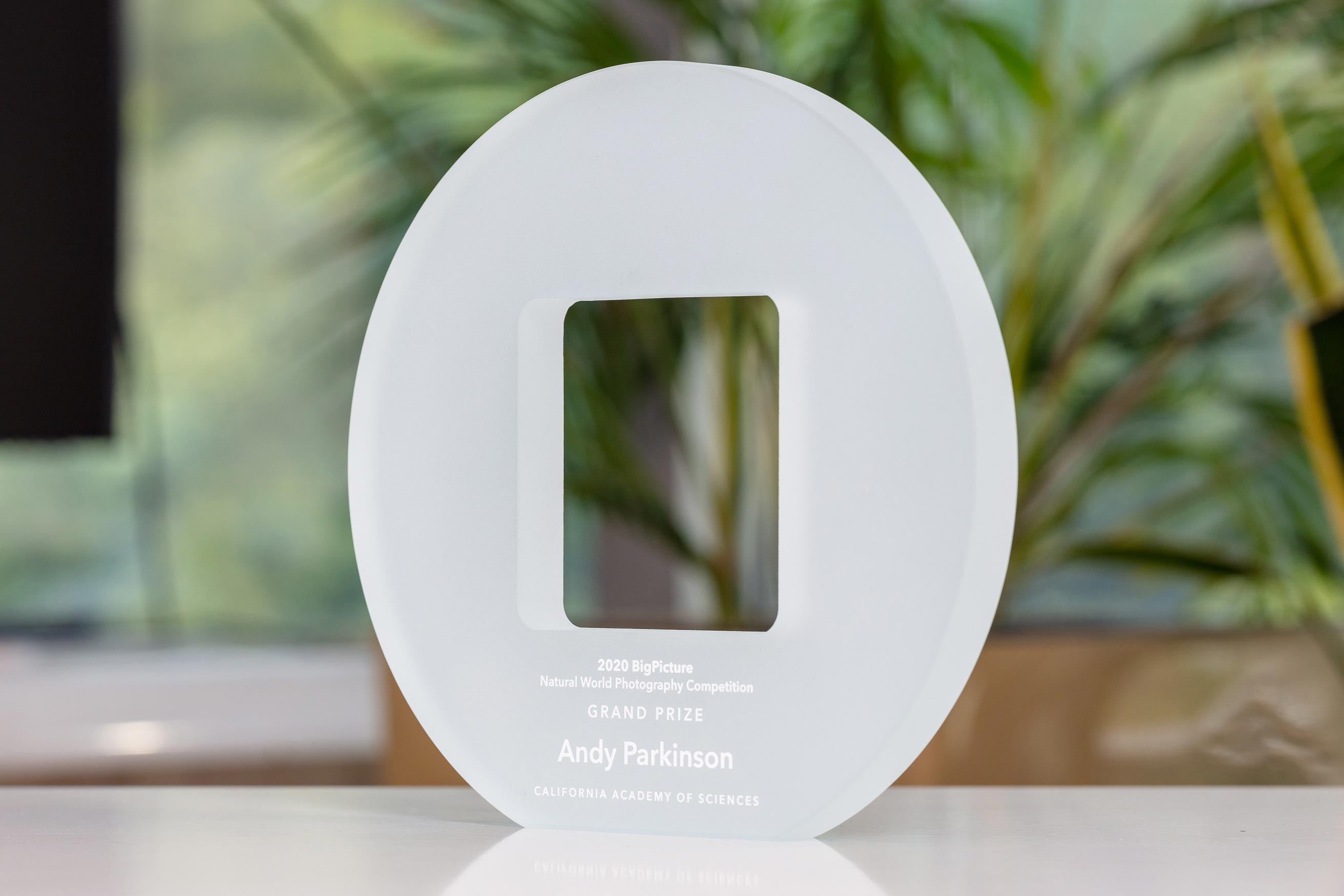 Glasso custom award
