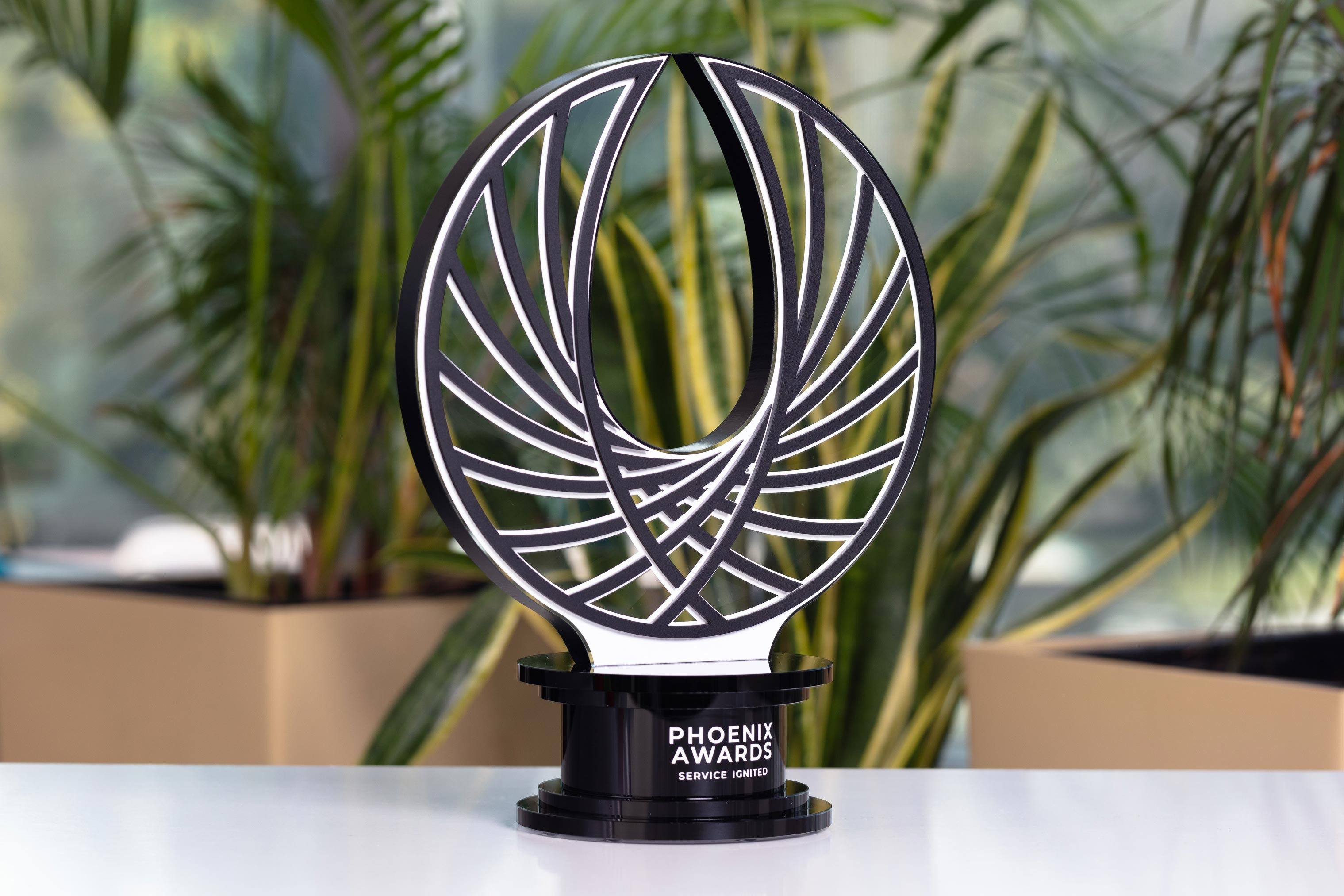 Glasso custom award