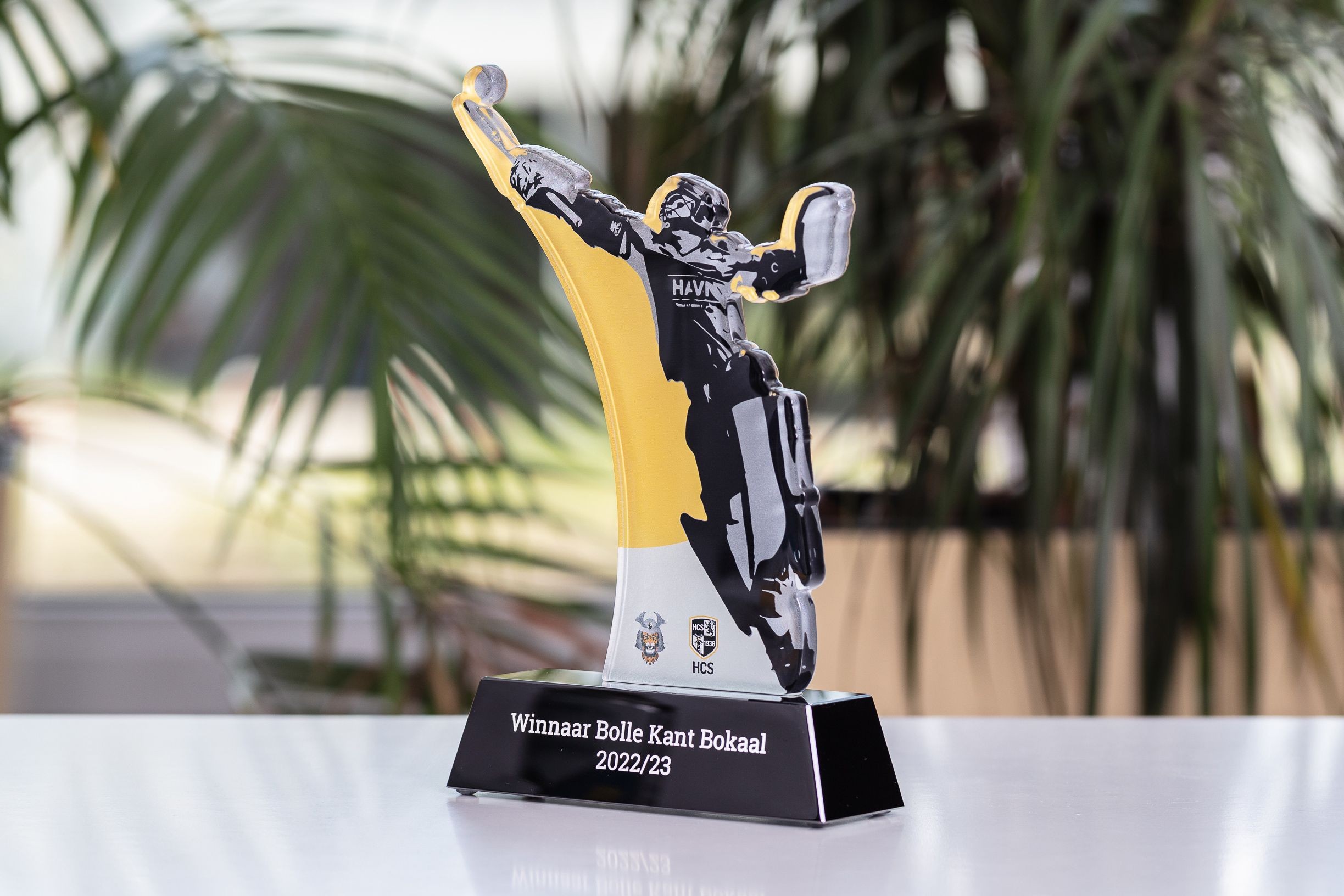 Glasso custom award