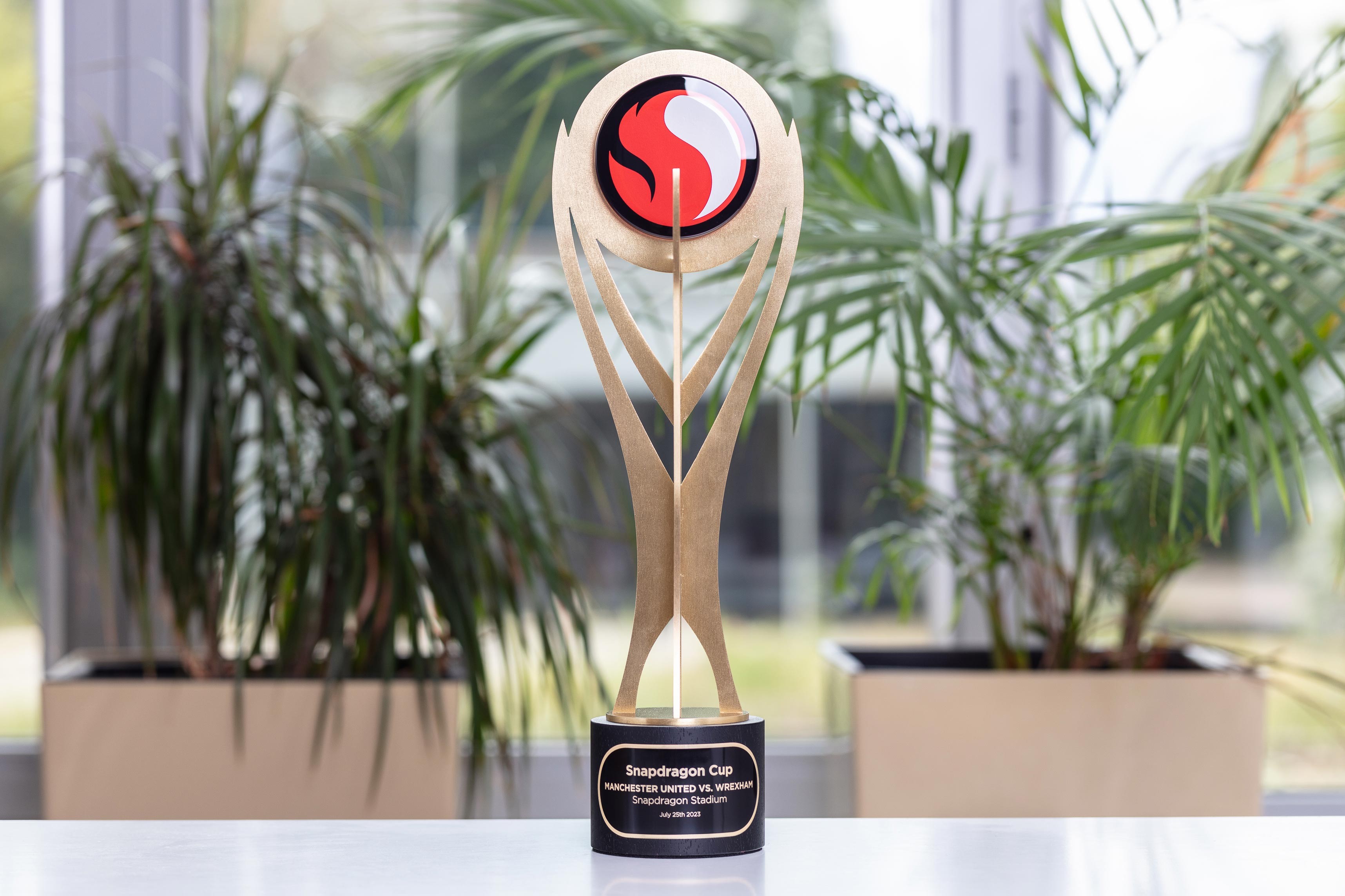 Glasso custom award