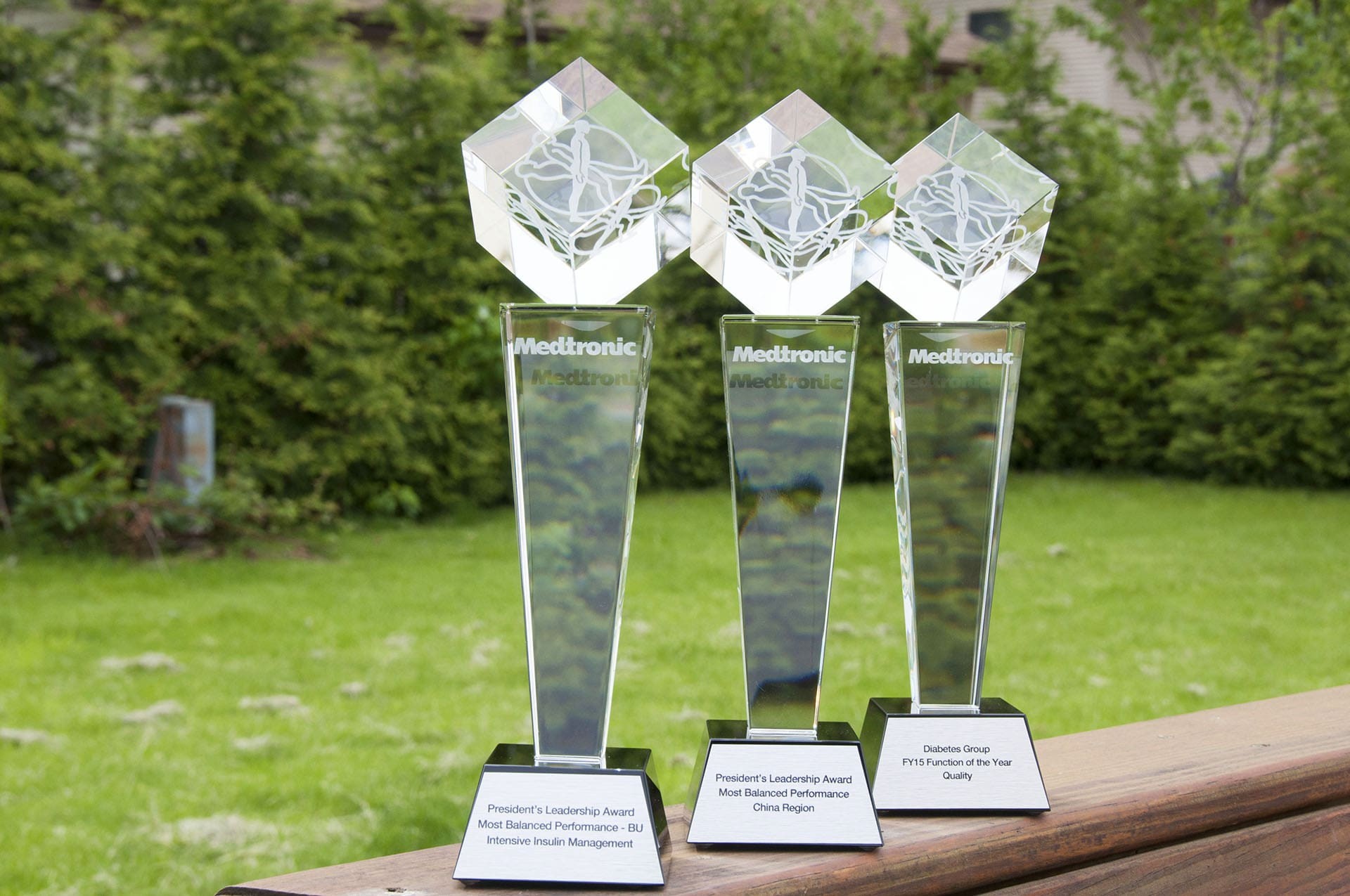 statuetka szklo Medtronic glasso